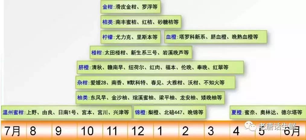 生果采购必需担任的产地漫衍、种类分辨、种种类区别产季等常识天博电竞网站(图4)