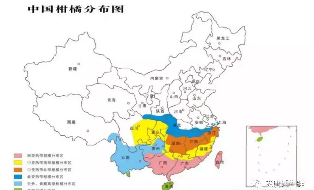 生果采购必需担任的产地漫衍、种类分辨、种种类区别产季等常识天博电竞网站(图3)