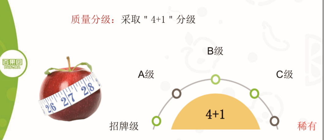 中邦生果财产开展报揭发布6大形式31省份生果产量排名来天博电竞网站了(图19)