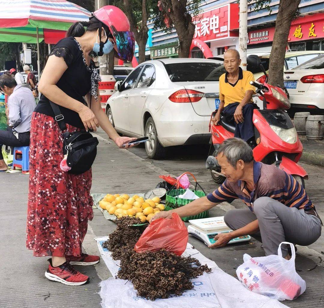 天博电竞网站长得彷佛鸡爪玉林这种富硒生果上市了(图2)