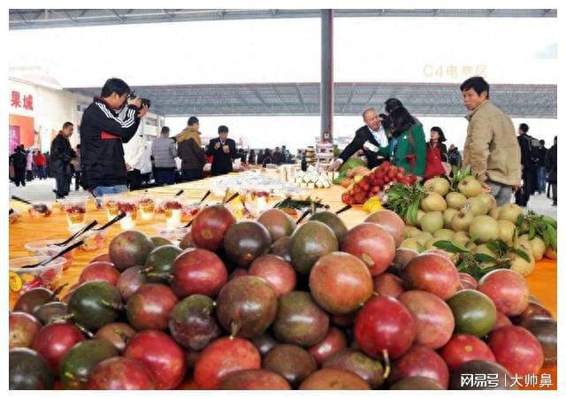 天博电竞落空中邦市集后洪量生果烂地里无人购置现正在澳方悔怨开罪中邦(图9)