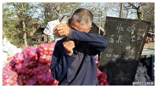 天博电竞落空中邦市集后洪量生果烂地里无人购置现正在澳方悔怨开罪中邦(图13)