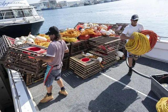 天博电竞遗失中邦商场后洪量生果烂地里卖不出去现正在怨恨获罪中邦了？(图1)