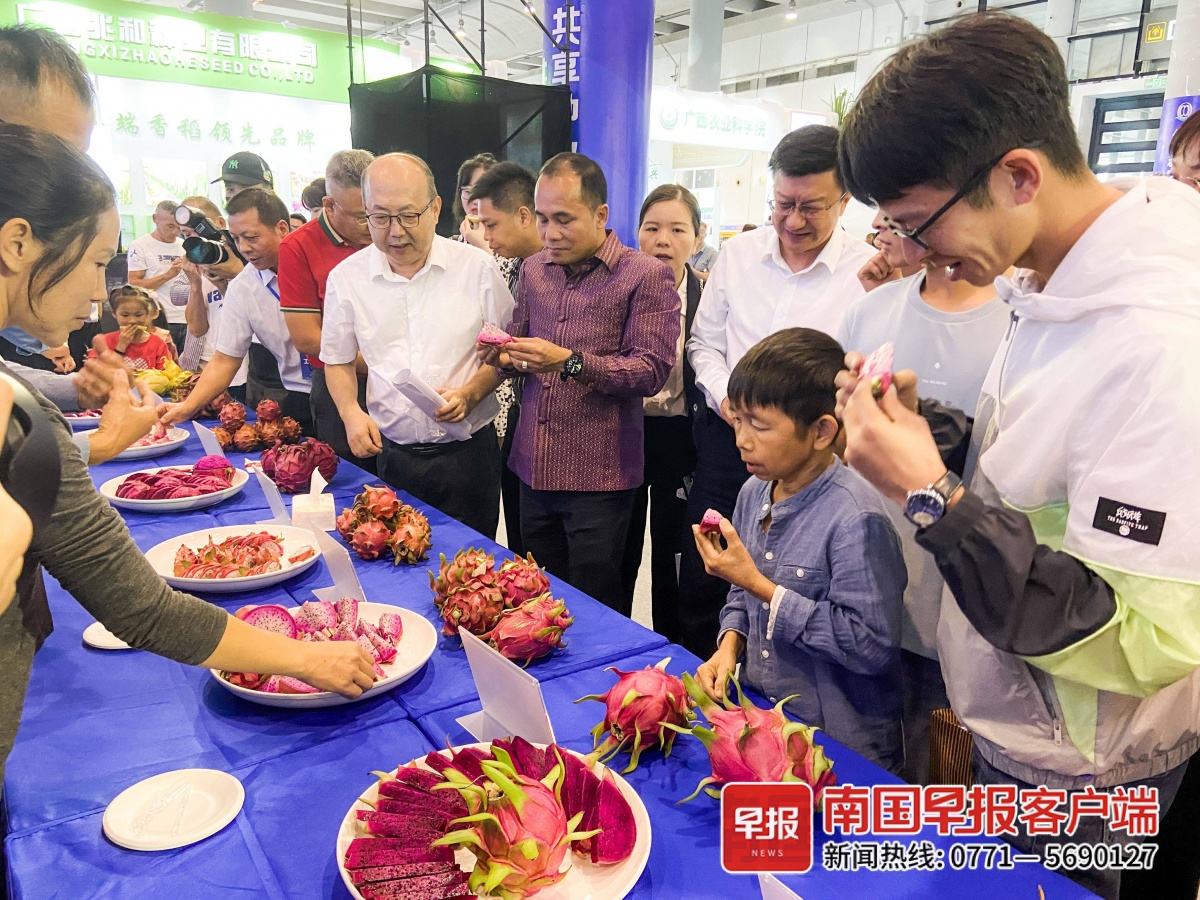 好评天博电竞网站！这种生果出新品了双色碰撞出“火花”(图1)