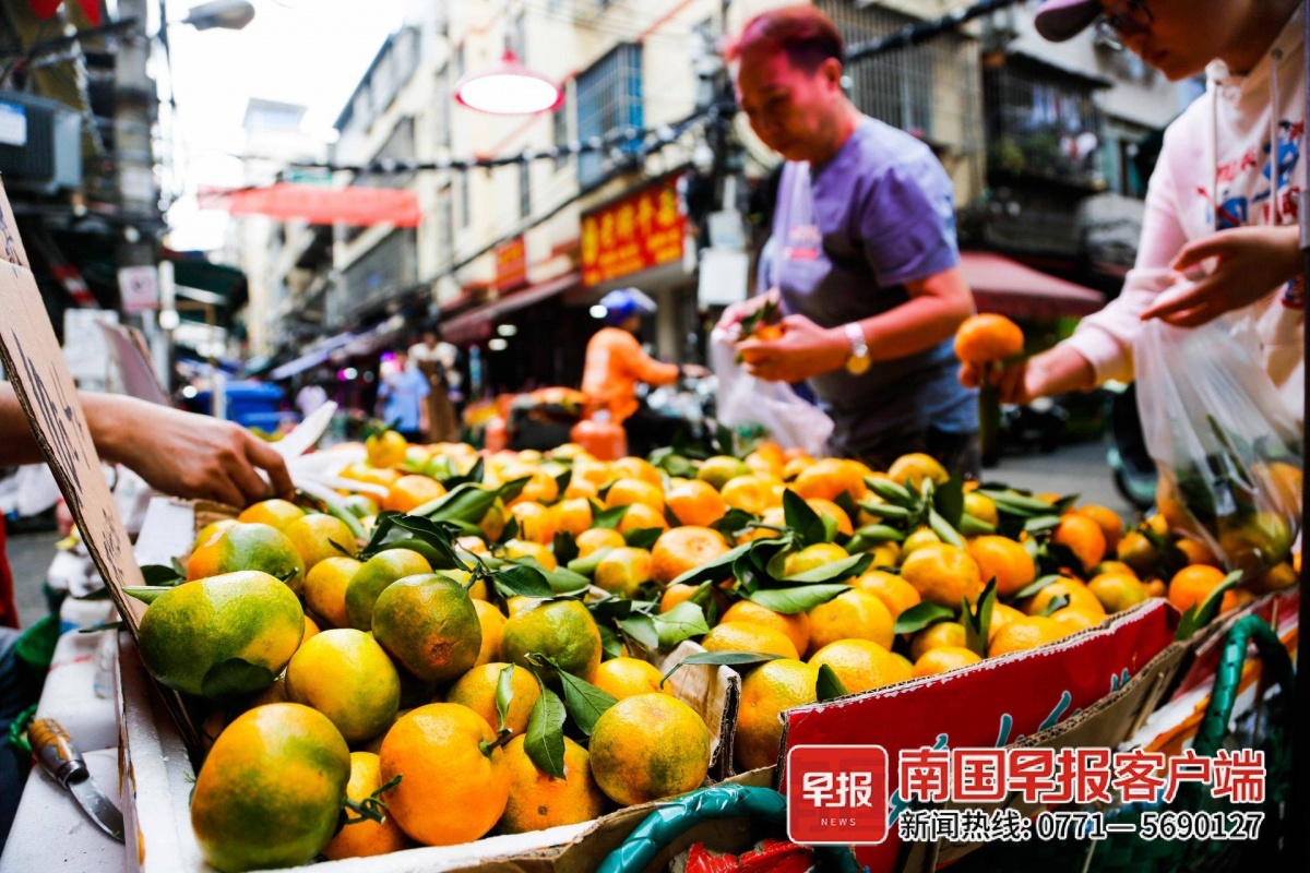 天博电竞官网APP下载广西柑橘大批上市又一波“生果自正在”来了！(图1)