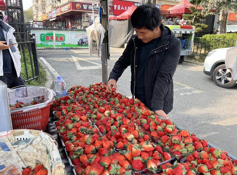 合肥天博电竞网站商场：车厘子价高有老板不敢进货 邦发作果量丰价优销货疾(图3)