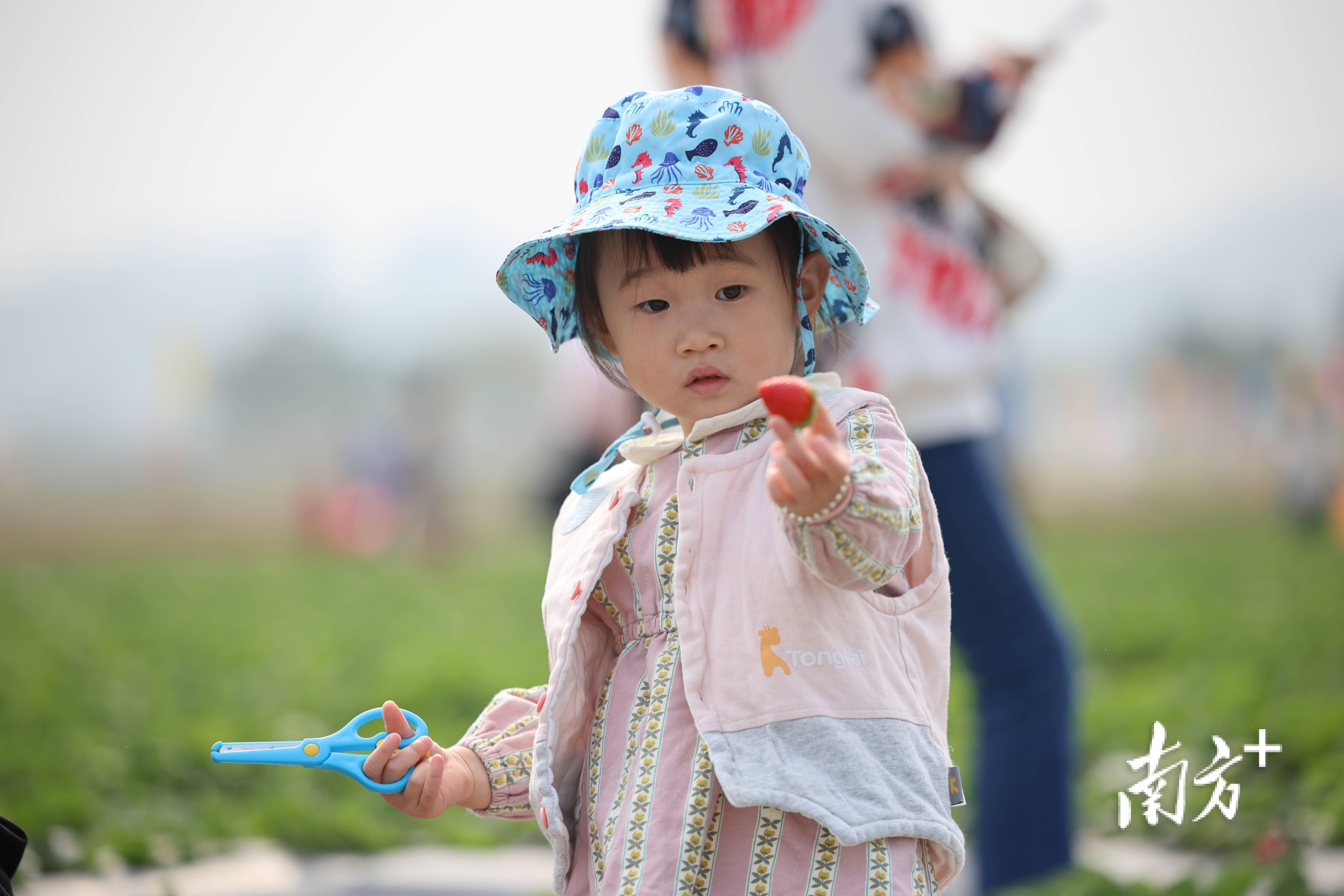 太适合周末溜娃了这里的生果好吃得停不下来｜众图天博电竞网站(图3)