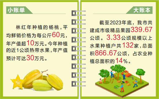 果农更始种植让杨桃等热带生果天博电竞网站正在舟山安家(图2)