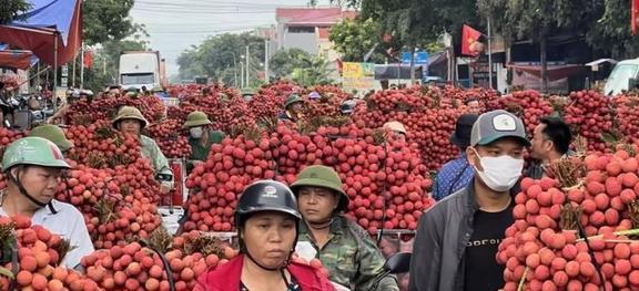 进口生果它的养分价格究竟有众少？为何被追捧至今？天博电竞网站(图18)