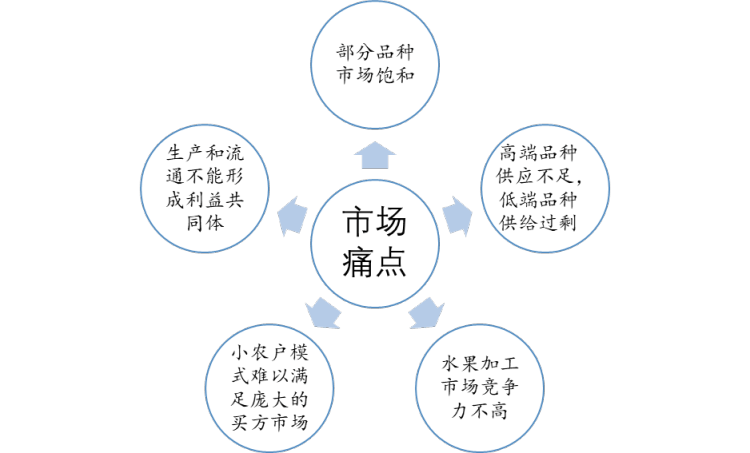 洞天博电竞察2022：一文体会中邦生果行业发显露状及趋向(附厉重种类、核心产区等)(图10)